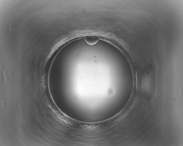 X0000080141501200612081242