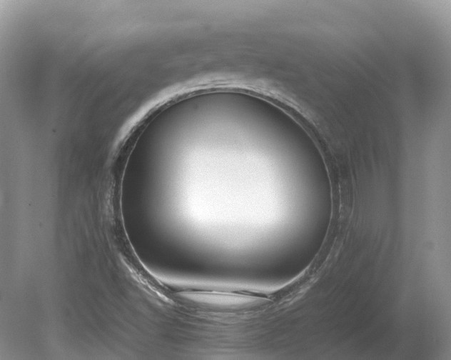 X0000080141502200612081242