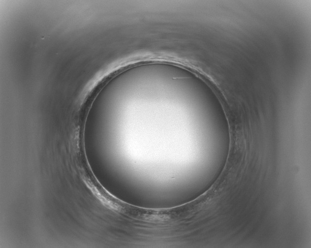 X0000080141503200612081242