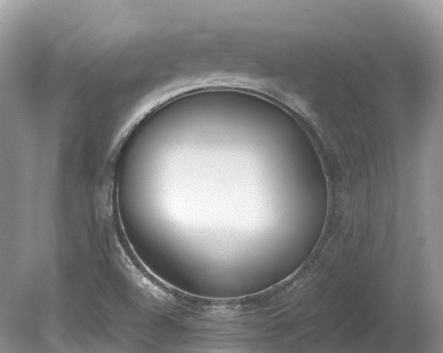 X0000080141504200612081242