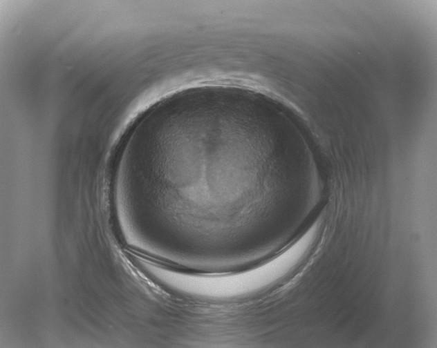 X0000080141506200612081242