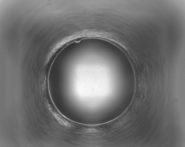 X0000080141507200612081242