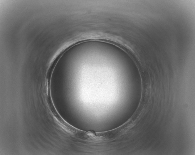 X0000080141509200612081242