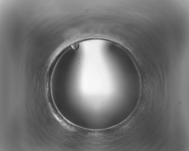 X0000080141511200612081242