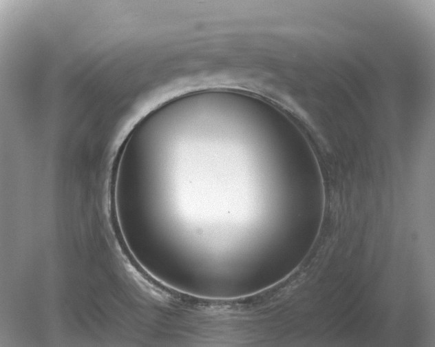X0000080141512200612081242