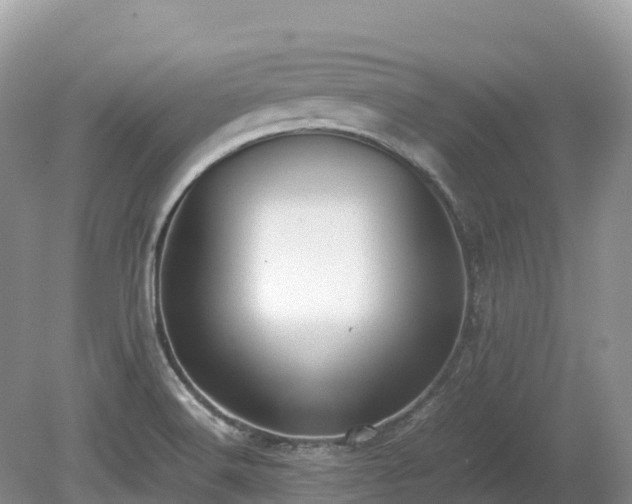 X0000080141516200612081242
