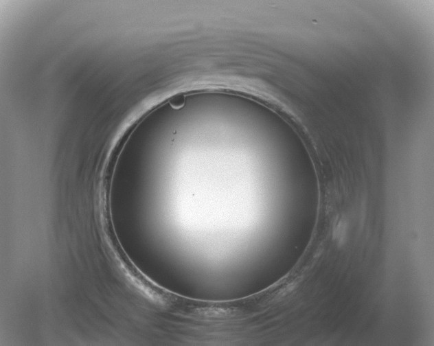 X0000080141517200612081242