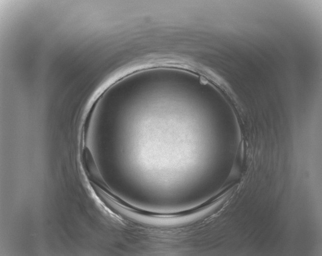 X0000080141520200612081243