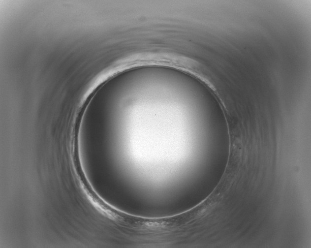 X0000080141523200612081243