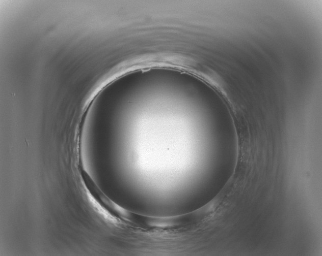 X0000080141524200612081243