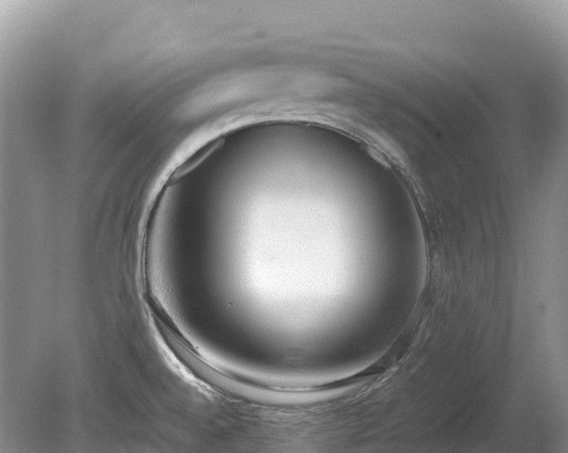 X0000080141528200612081243