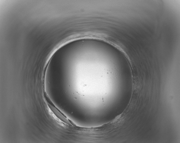 X0000080141532200612081243