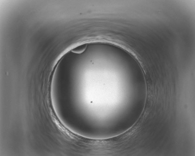 X0000080141534200612081243