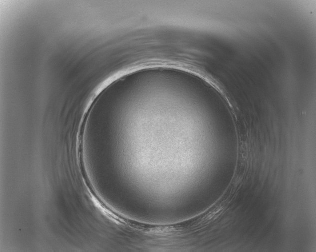 X0000080141535200612081243