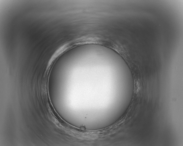 X0000080140004200612151816