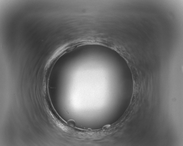 X0000080140005200612151816