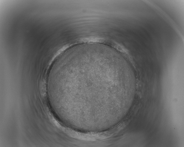X0000080140012200612151816