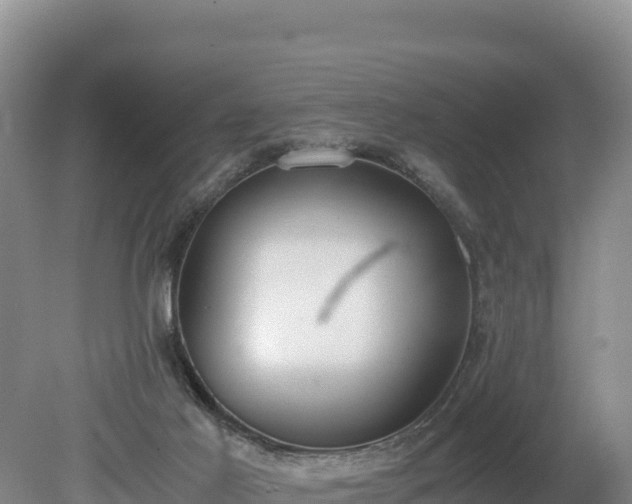 X0000080140021200612151816