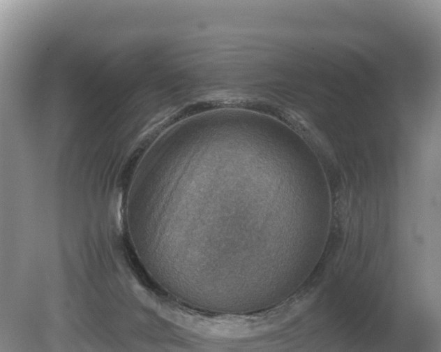 X0000080140024200612151816