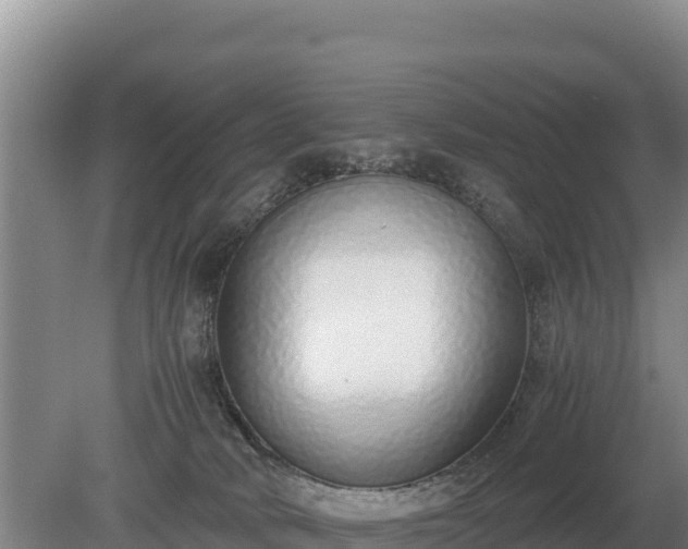 X0000080140034200612151816
