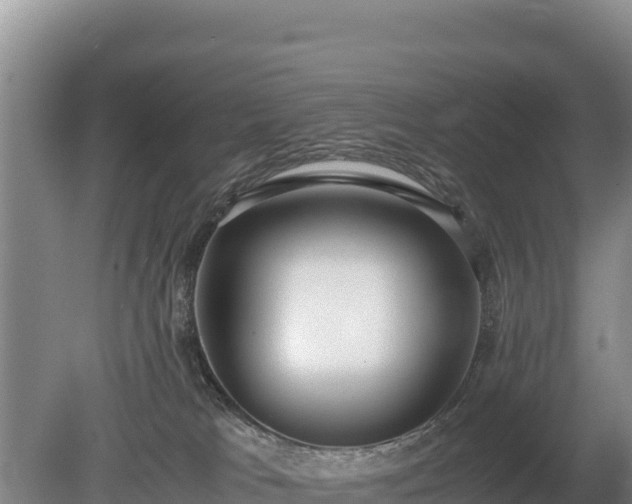 X0000080140037200612151816