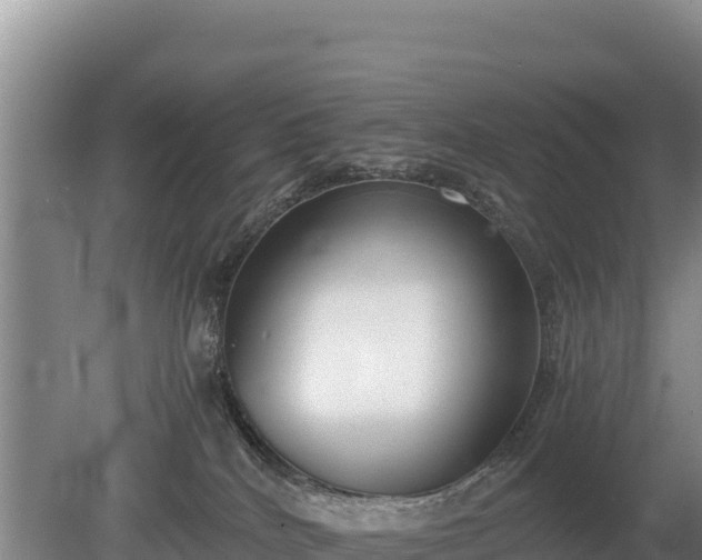 X0000080140040200612151816
