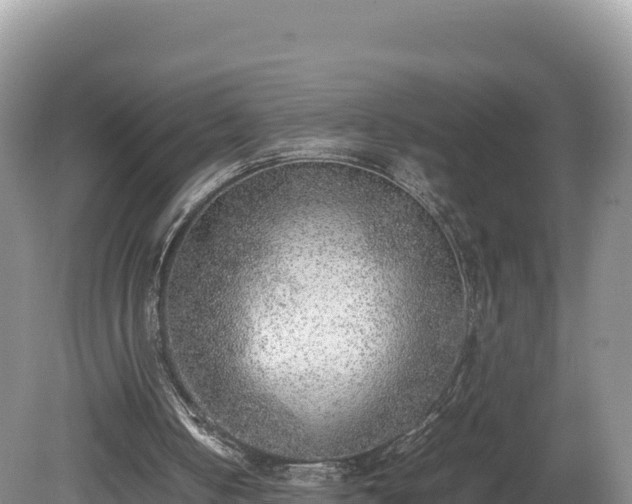 X0000080140050200612151815