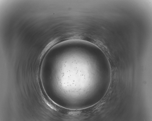 X0000080140051200612151815