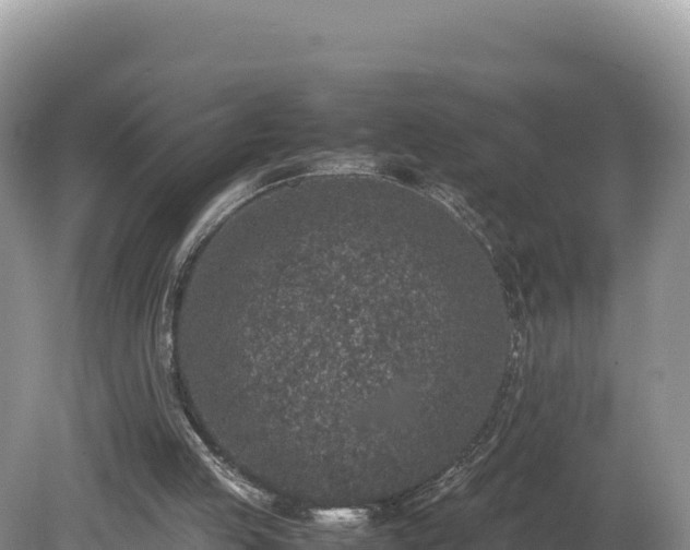 X0000080140053200612151815