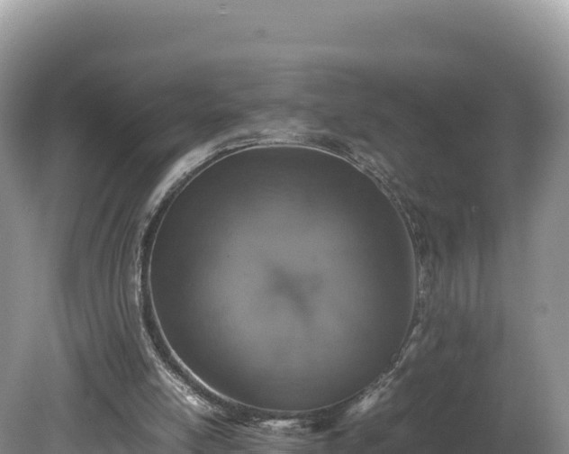 X0000080140054200612151815
