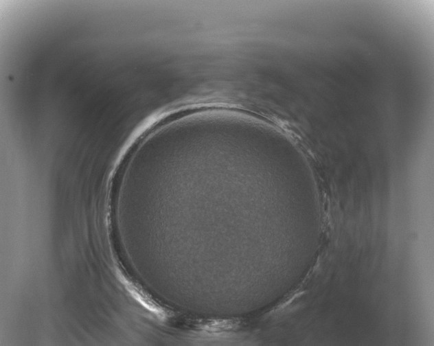 X0000080140056200612151815
