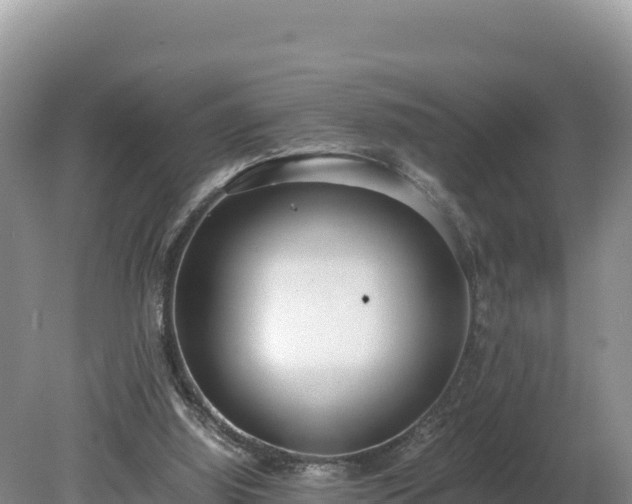 X0000080140060200612151815