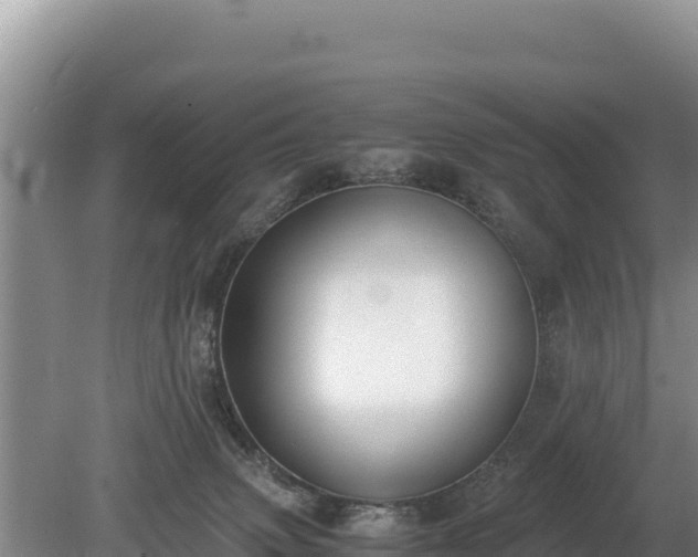 X0000080140083200612151815