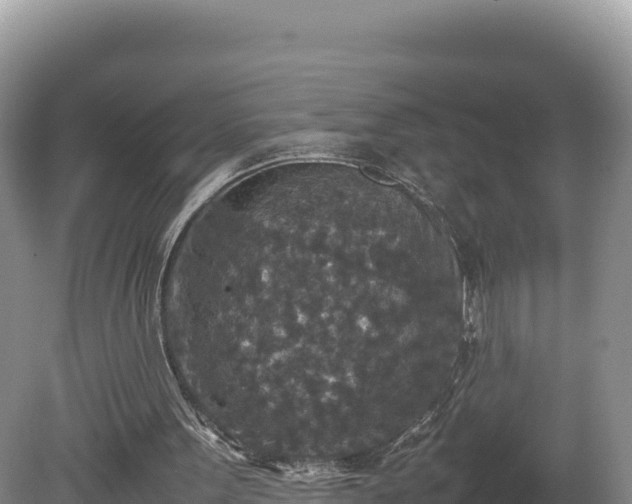 X0000080140099200612151815