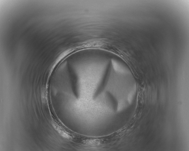 X0000080140100200612151815