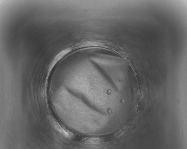 X0000080140104200612151814