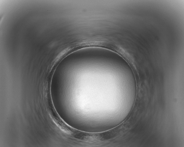 X0000080140107200612151814