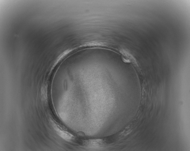 X0000080140108200612151814