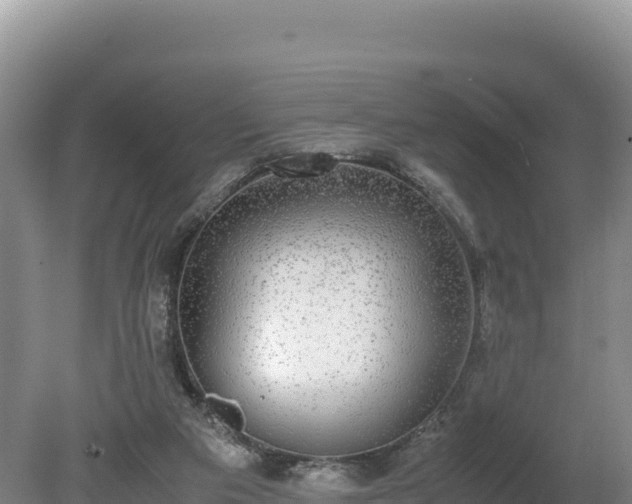 X0000080140113200612151814