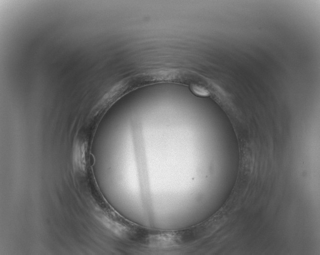 X0000080140118200612151814