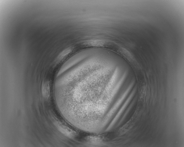 X0000080140120200612151814