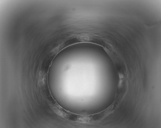 X0000080140125200612151814