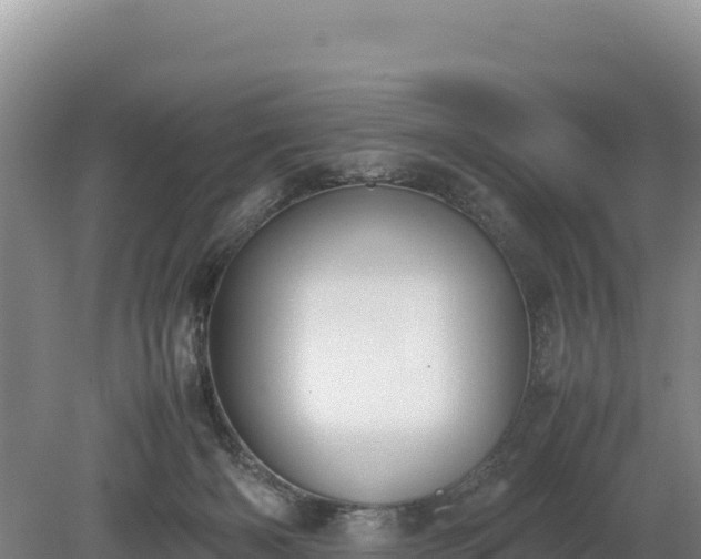 X0000080140126200612151814