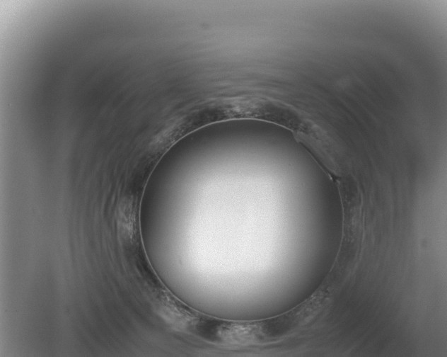 X0000080140129200612151814