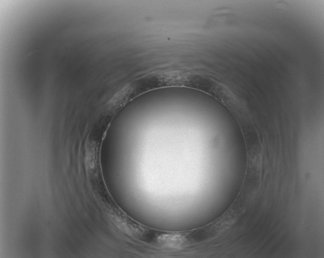X0000080140133200612151814