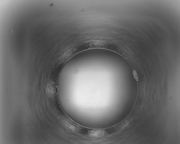 X0000080140135200612151814
