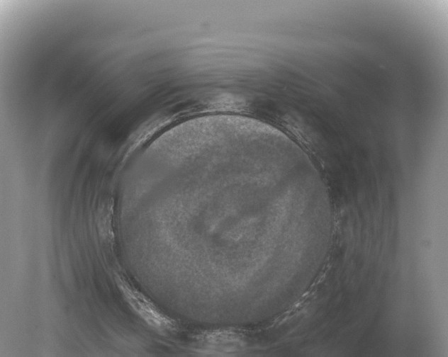 X0000080140146200612151813