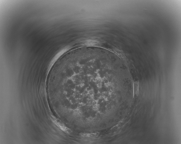 X0000080140147200612151813