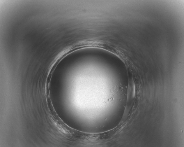 X0000080140148200612151813