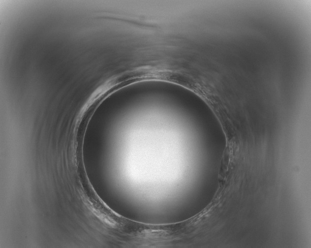 X0000080140150200612151813